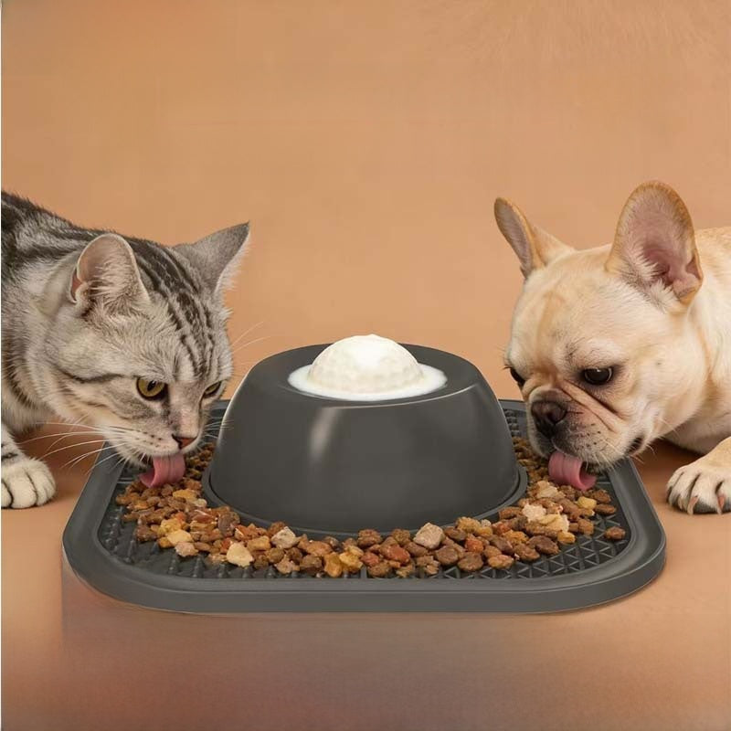 Interactive Slow Feeder Dog Bowl with Licking Ball