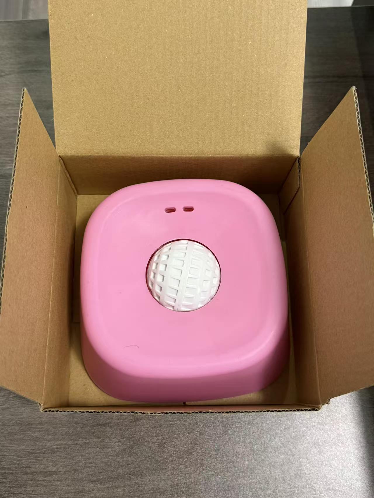 Dog Slow Feeder Lick Bowl